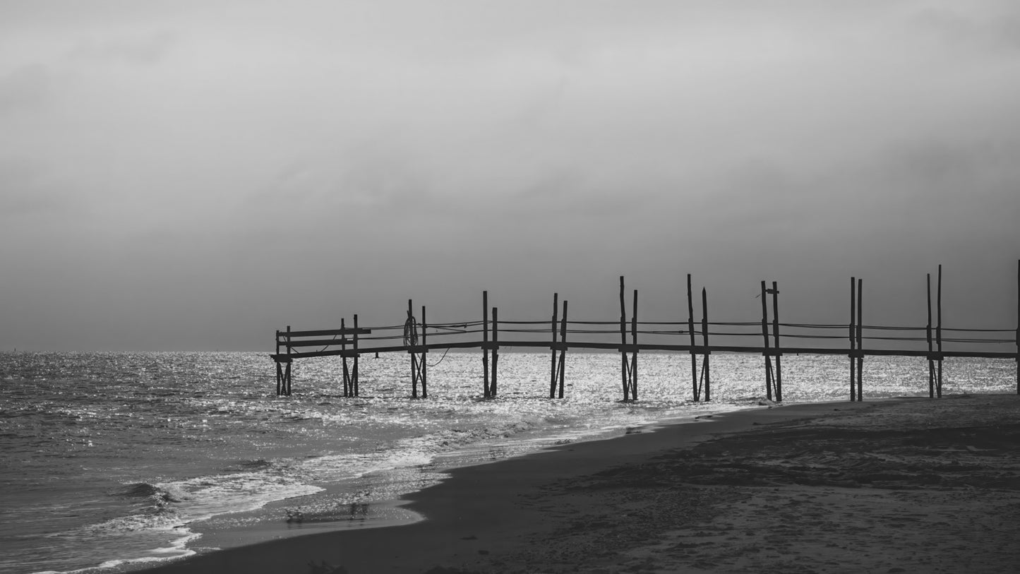 Niederlande Texel