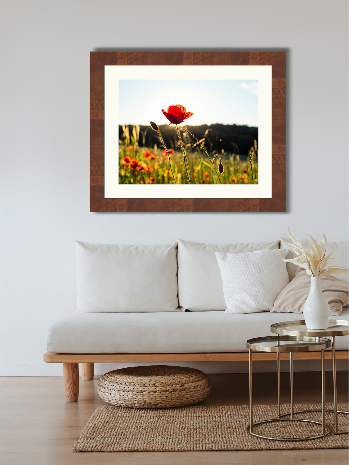 Poppy flowers #1