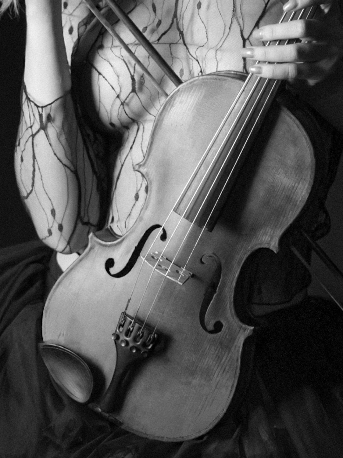 Violin Love #7