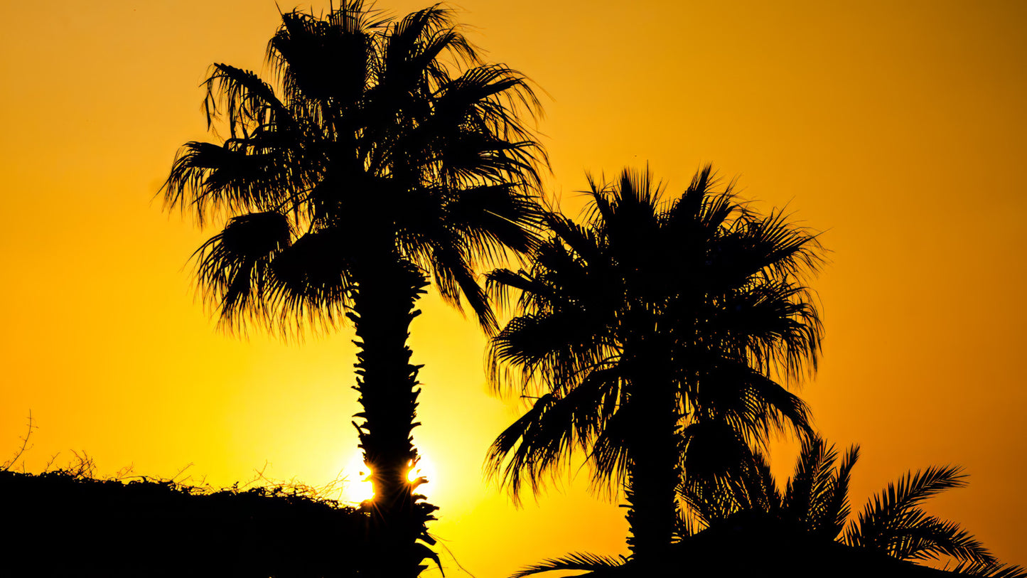 Sunset North Cyprus #1