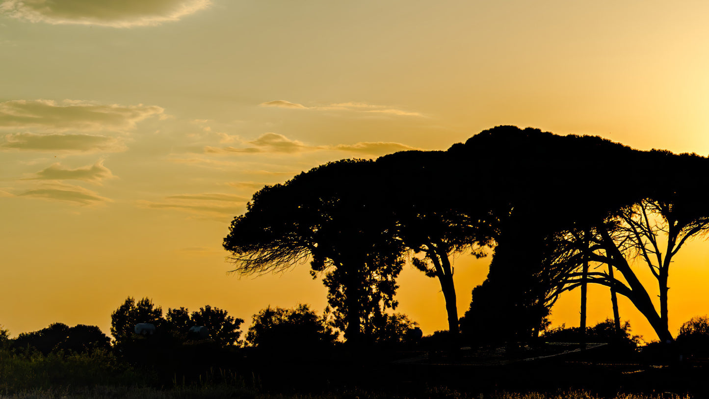Sunset North Cyprus #2