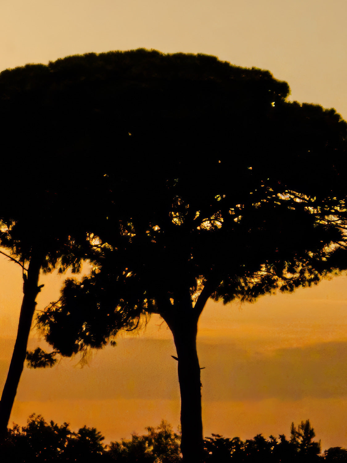 Sunset North Cyprus #3