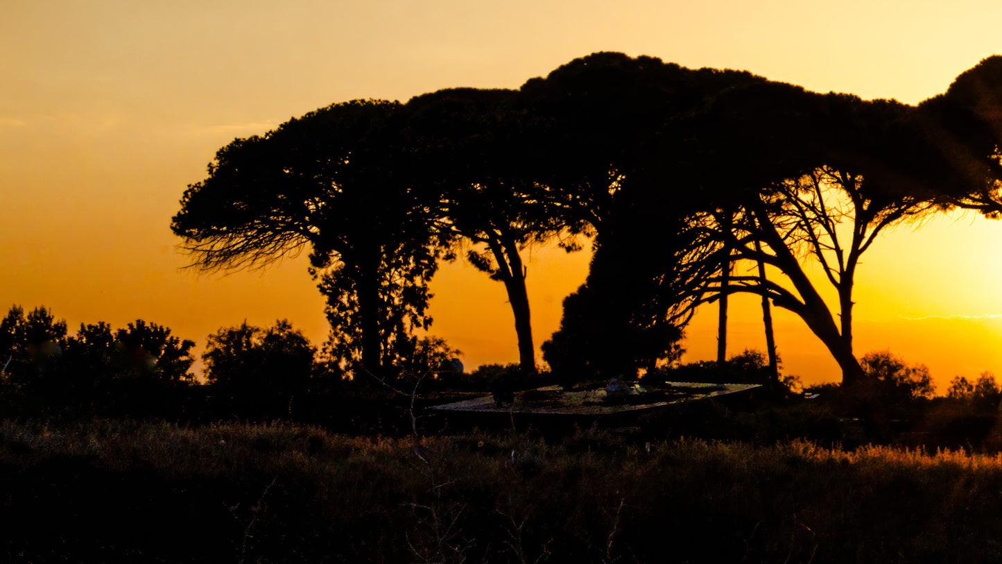 Sunset North Cyprus #3