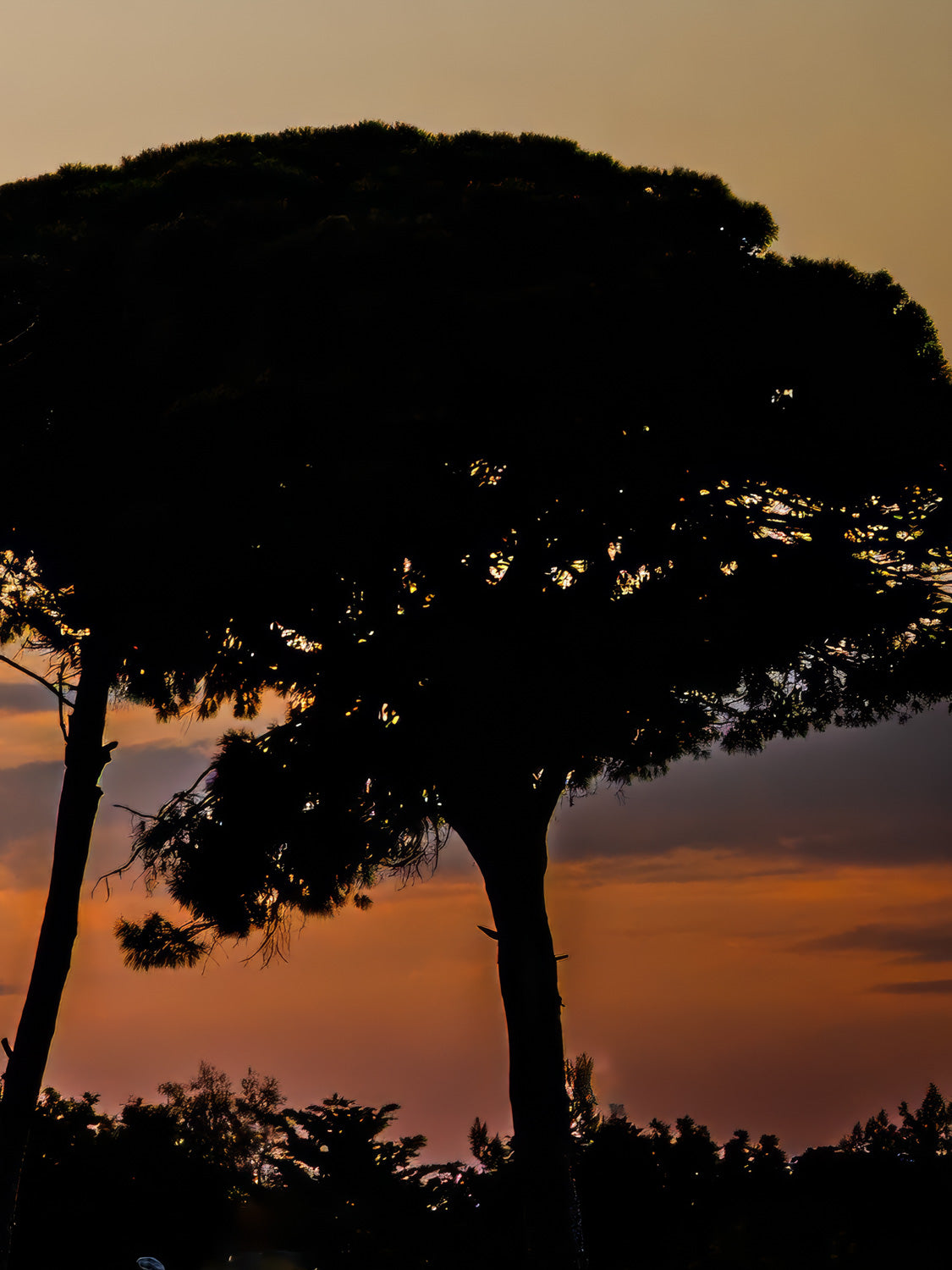 Sunset North Cyprus #4