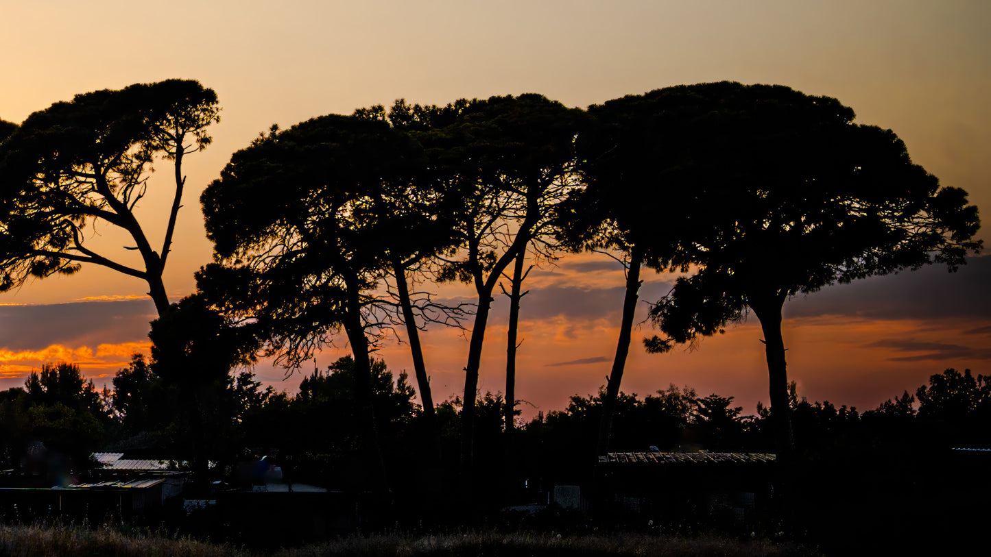 Sunset North Cyprus #4