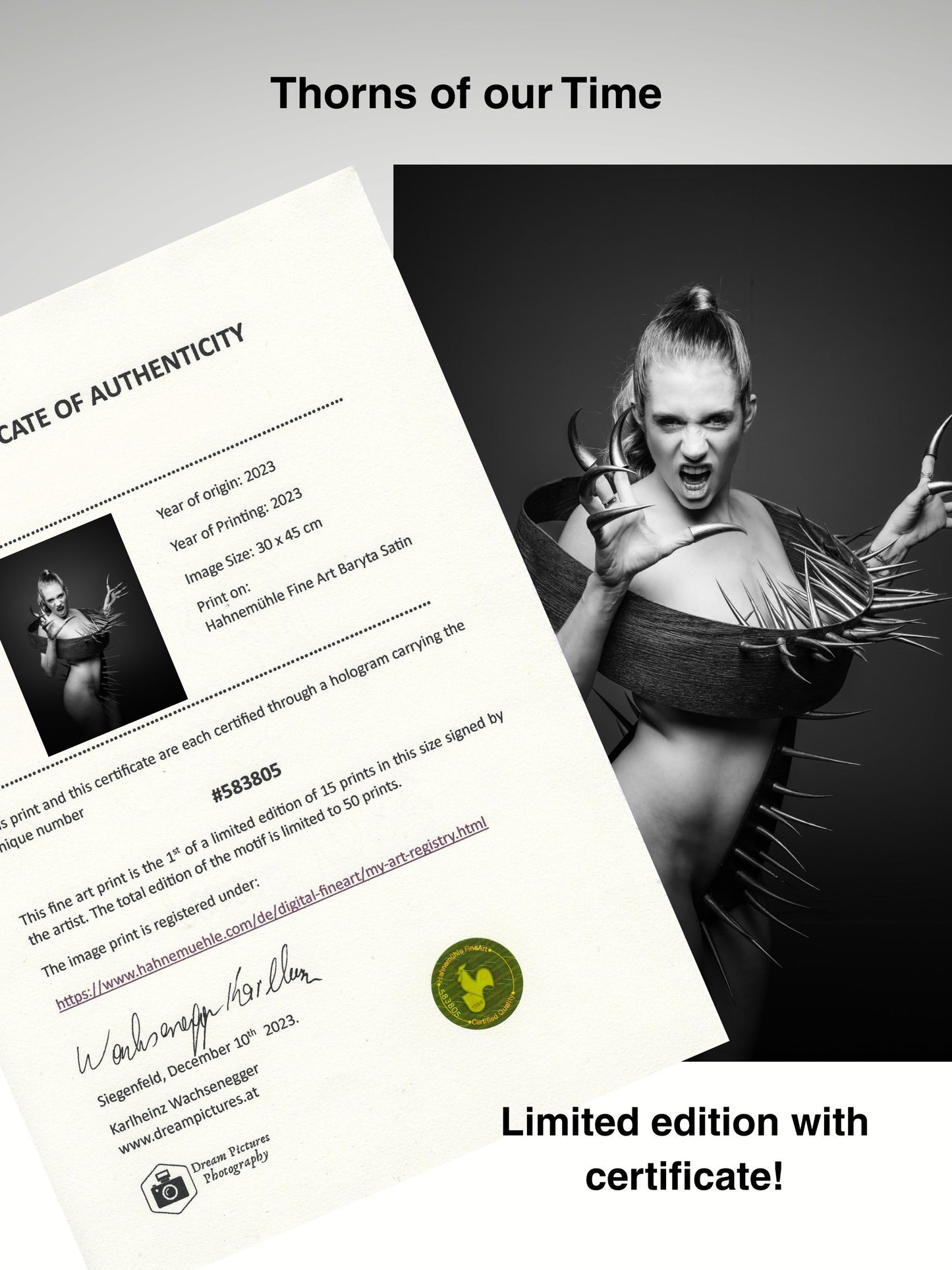 Dornen unserer Zeit #06