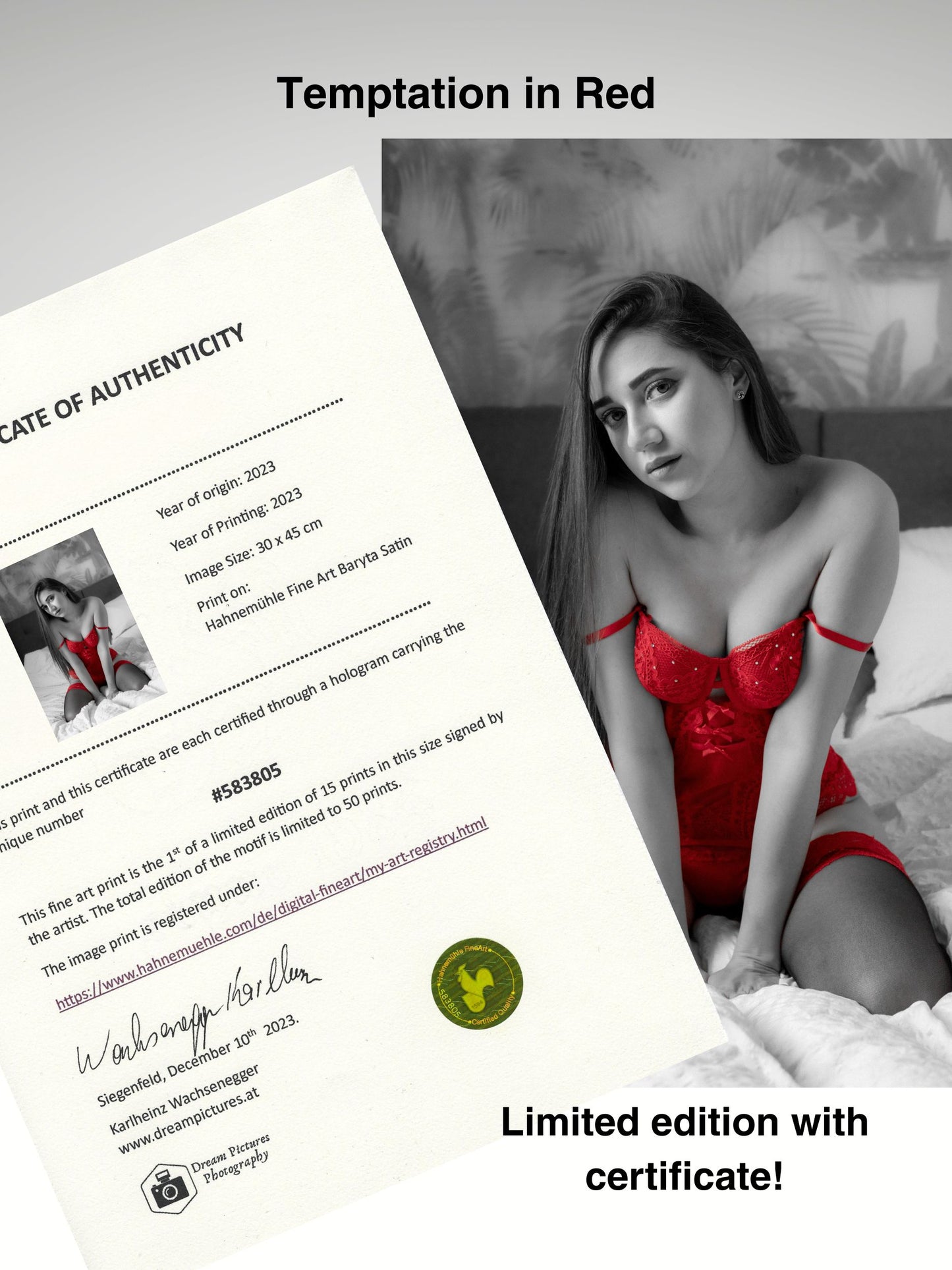 Temptation in Red #11