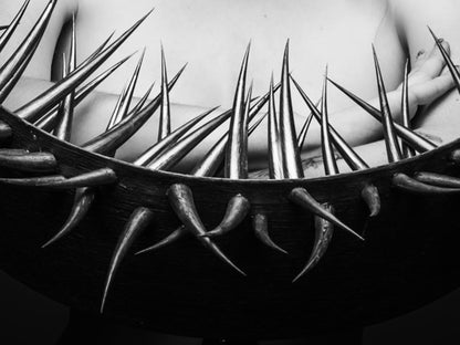 Dornen unserer Zeit #01