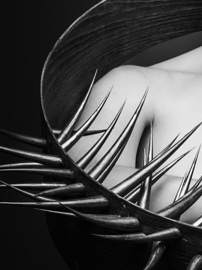 Dornen unserer Zeit #01