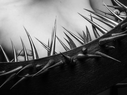 Dornen unserer Zeit #02