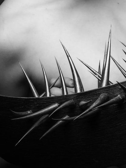 Dornen unserer Zeit #02