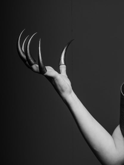 Dornen unserer Zeit #03