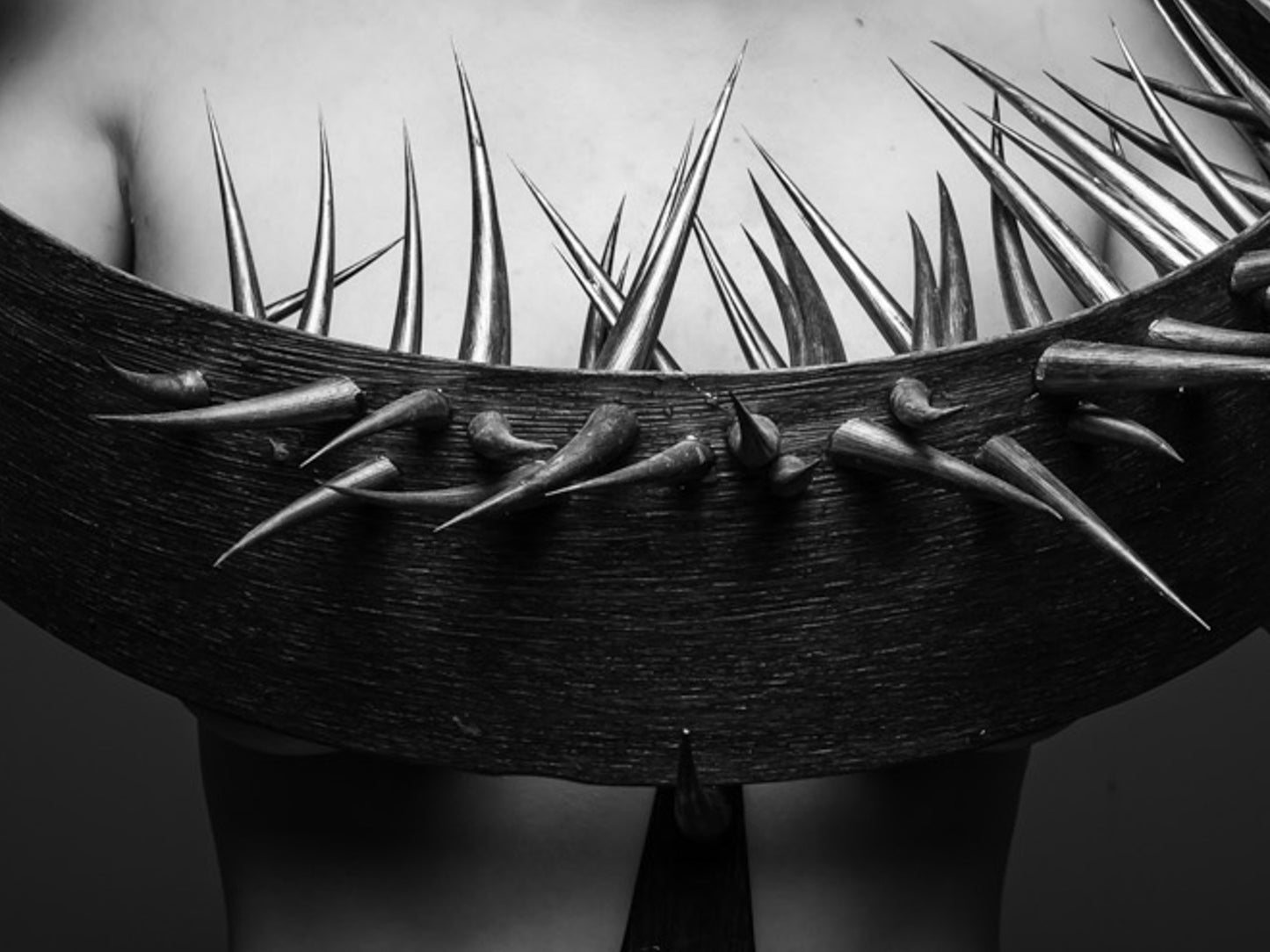 Dornen unserer Zeit #04