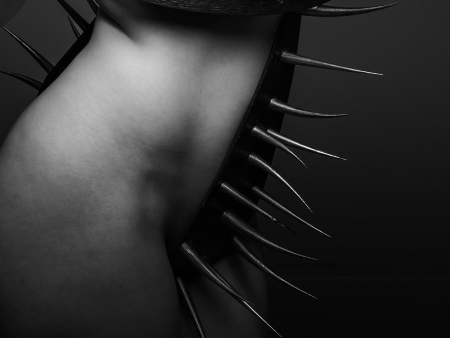 Dornen unserer Zeit #05