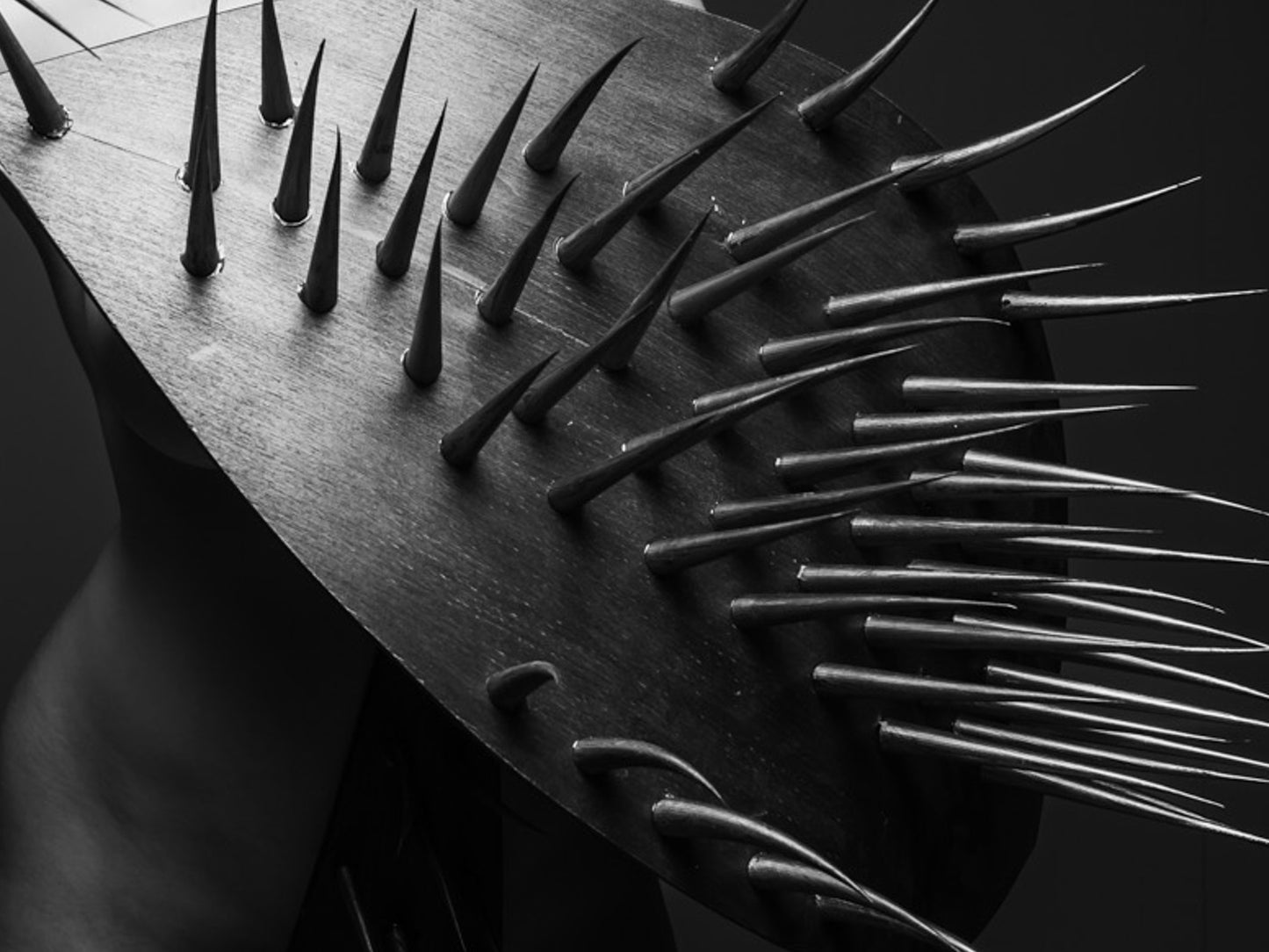 Dornen unserer Zeit #06