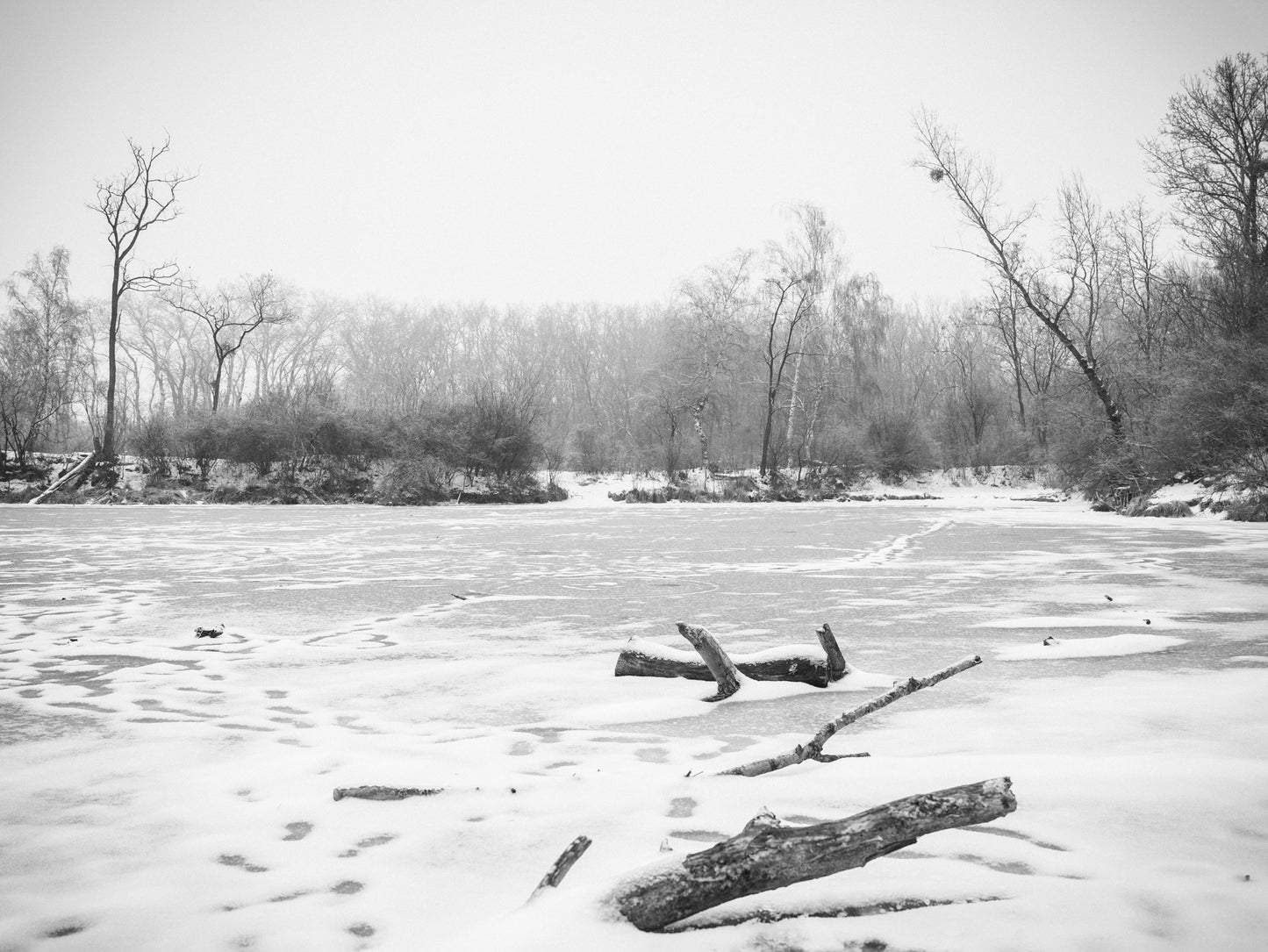 Cold Resolve - Exposure - Triptychon I