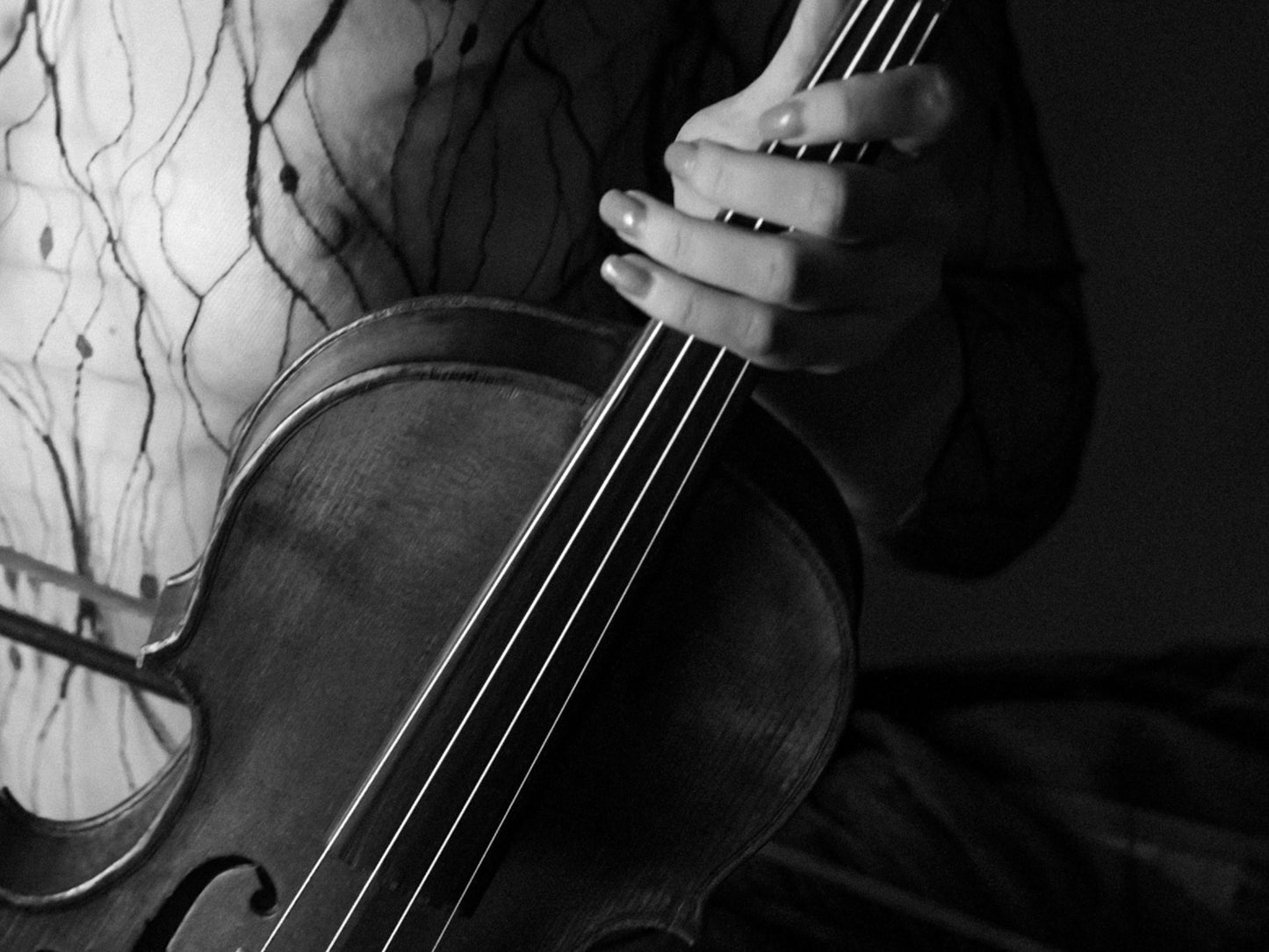 Violin Love #8