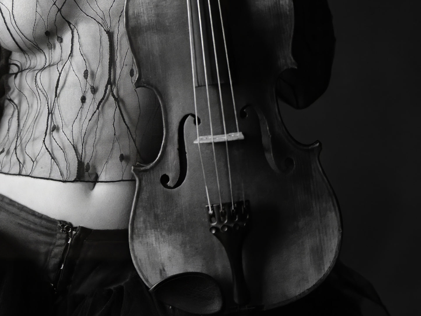 Violin Love #9