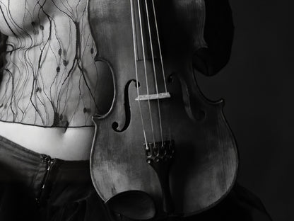Violin Love #9