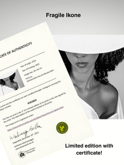 Fragile Ikone #02
