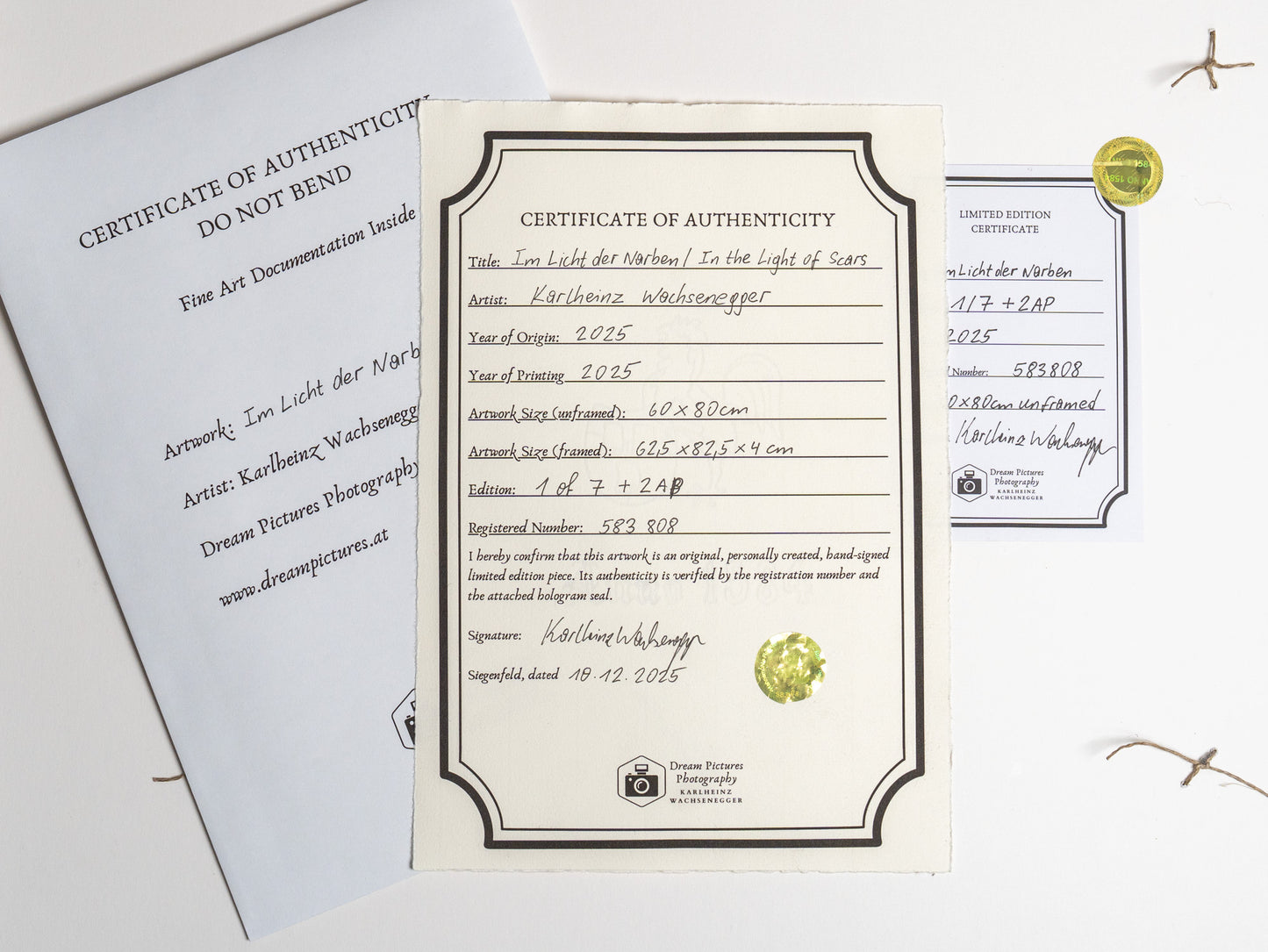 In the Light of Scars