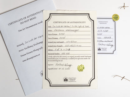 In the Light of Scars